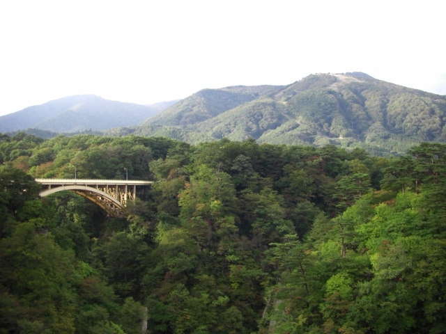 c0074721_14220259.jpg