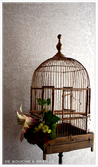 cage à oiseaux 古い鳥かご バードケージ _d0184921_12165223.jpg