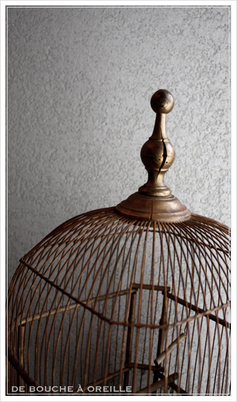 cage à oiseaux 古い鳥かご バードケージ _d0184921_12491181.jpg