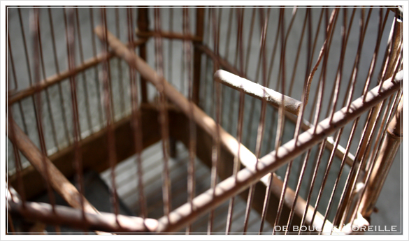 cage à oiseaux 古い鳥かご バードケージ _d0184921_13341088.jpg
