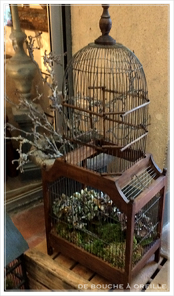 cage à oiseaux 古い鳥かご バードケージ _d0184921_13364815.jpg