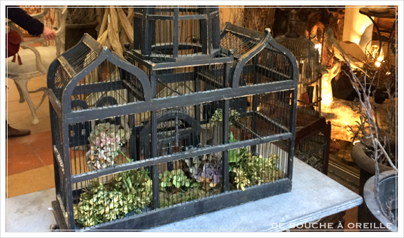 cage à oiseaux 古い鳥かご バードケージ _d0184921_1337041.jpg