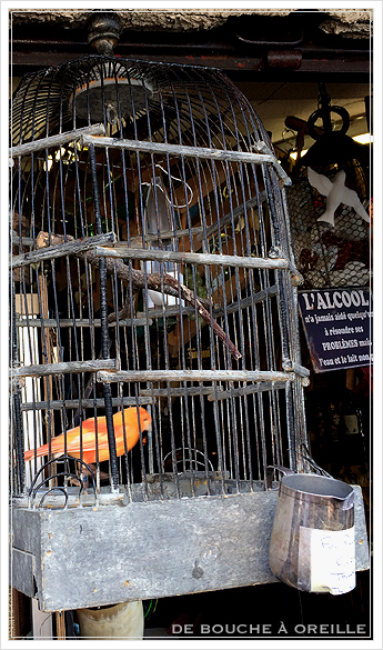 cage à oiseaux 古い鳥かご バードケージ _d0184921_13372984.jpg
