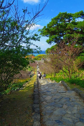 2016冬　沖縄の旅7～城めぐり第二弾　今帰仁城_b0312126_23560489.jpg