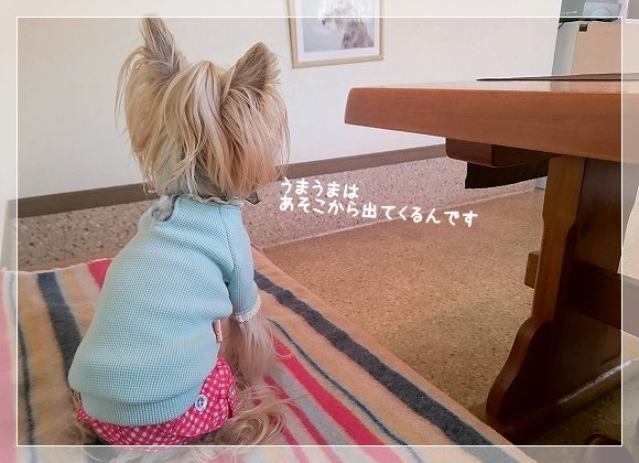 d0179828_20395150.png