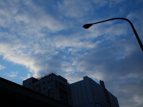 a0024829_17261551.jpg