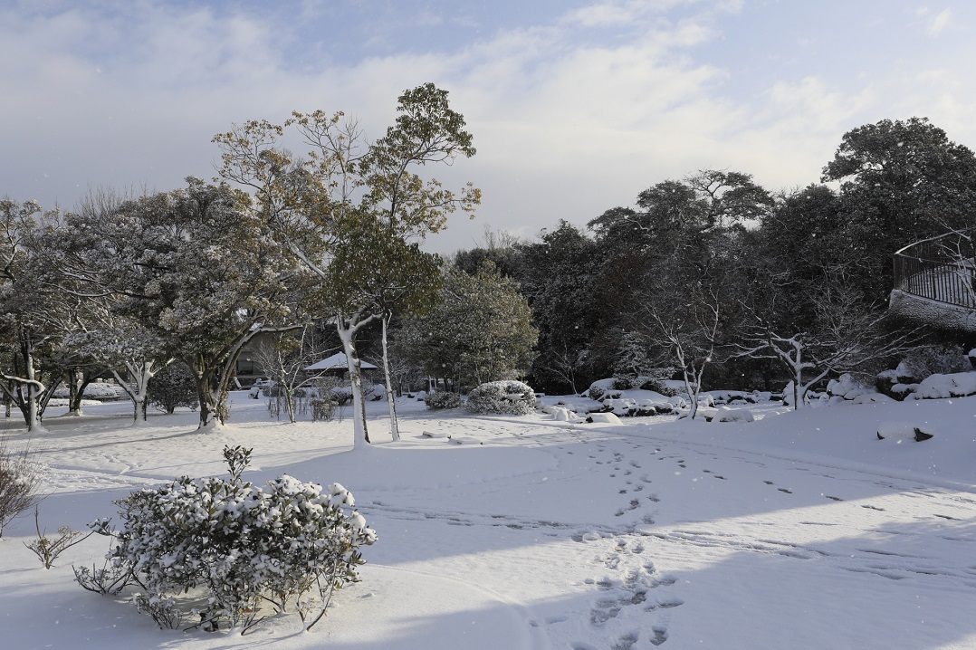 知多半島雪景色2017_c0201929_785853.jpg