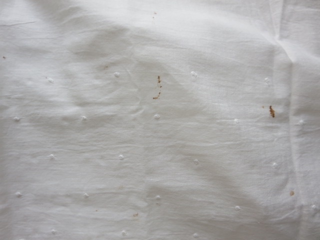 b0167334_20201061.jpeg