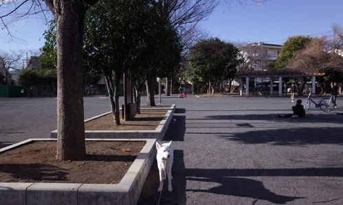 a0117039_2123356.jpg