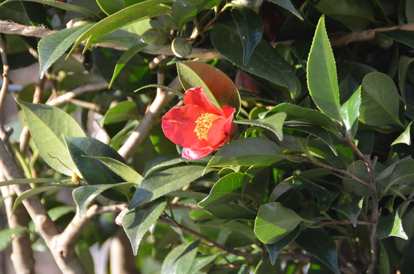 c0202242_912325.jpg