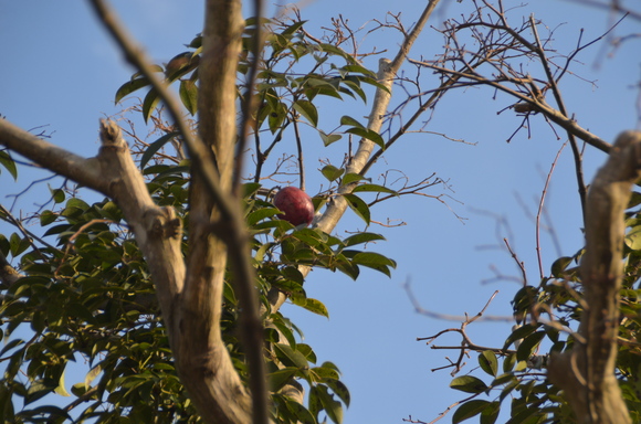 c0202242_91865.jpg