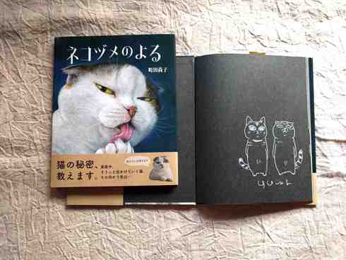 町田尚子さんの絵本の入荷_a0265743_15445499.jpg