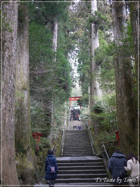 f0329049_15070502.jpg