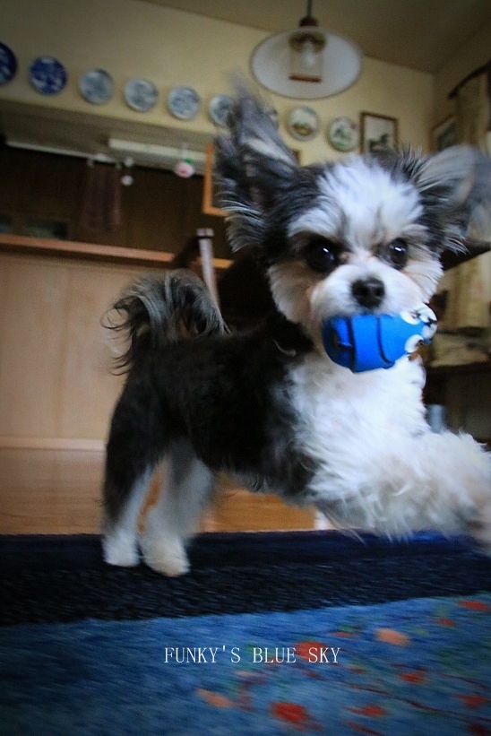 c0145250_10182697.jpg