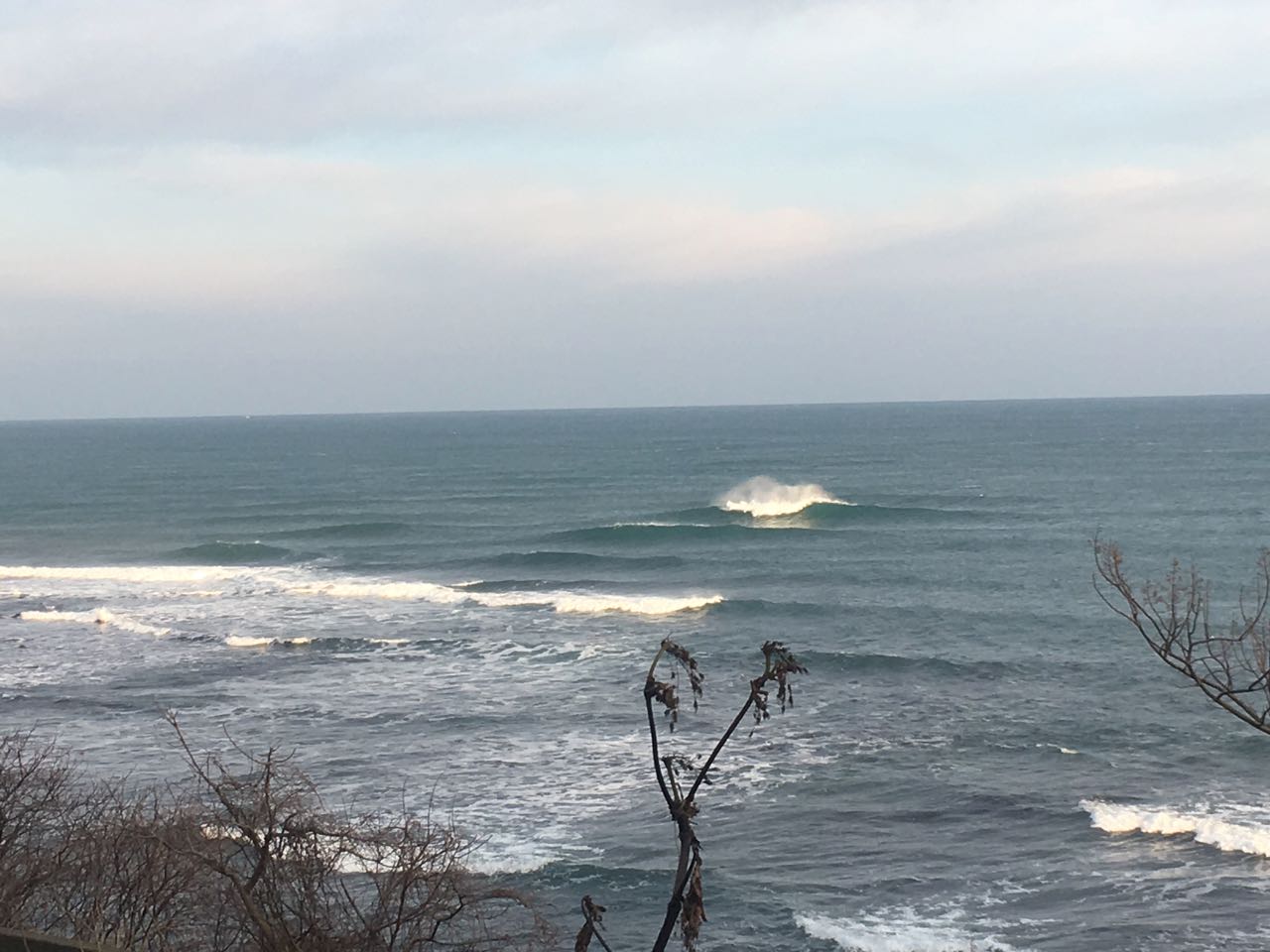 c0254151_2325234.jpg