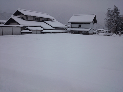 b0129758_1132231.gif