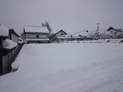 b0129758_11322674.gif