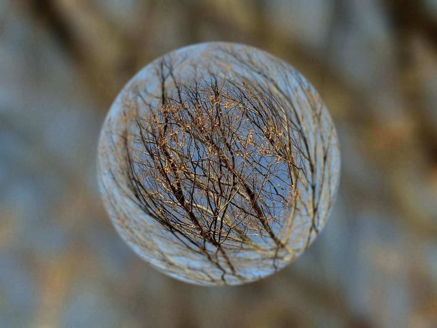e0019563_12462013.jpg