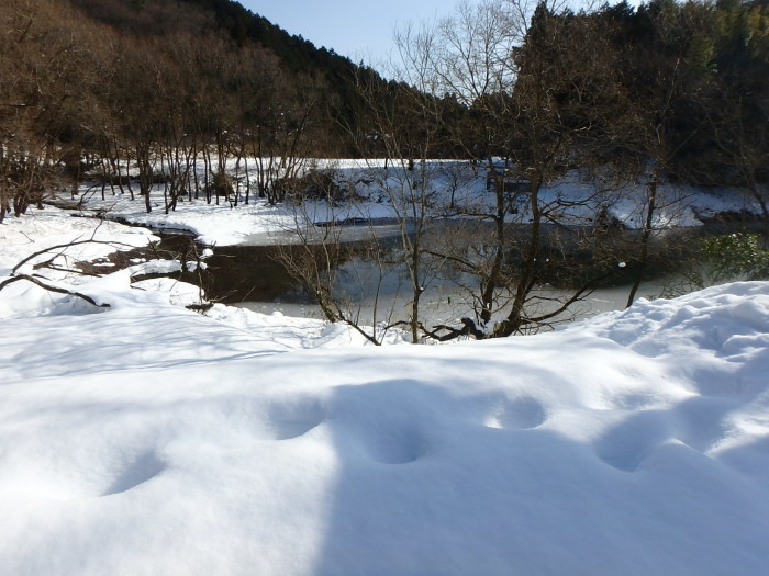 雪の中でトンボを探す_a0122264_14594010.jpg