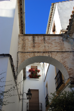 f0185066_9555070.jpg