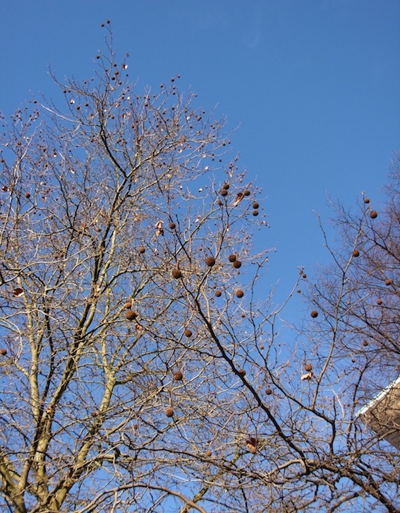 e0357367_03333791.jpg
