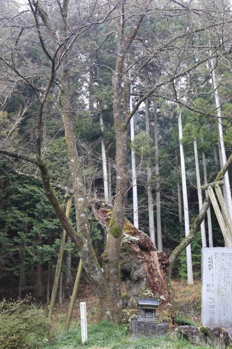 c0358784_15210011.jpg