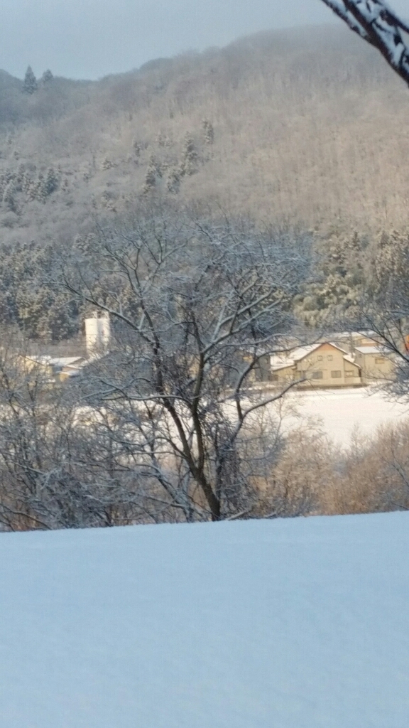 d0226286_22010334.jpg