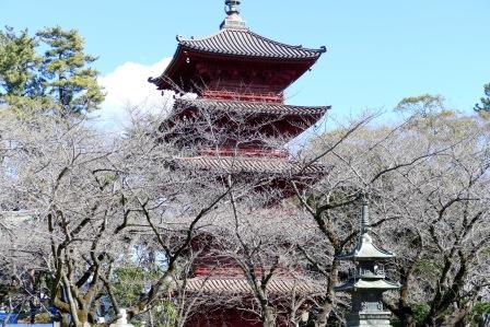 中山法華経寺遠壽院荒行_c0223591_16305700.jpg