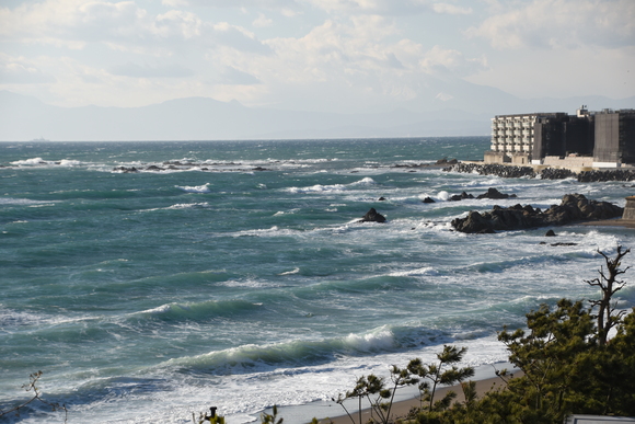 a0288500_21215125.jpg