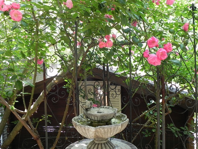 c0152002_18353637.jpg