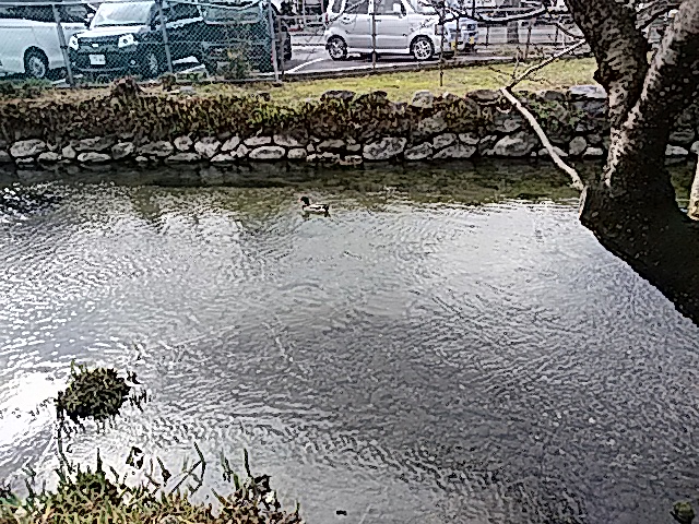 f0231709_10534313.jpg