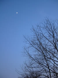 e0369112_19051137.jpg