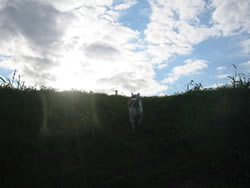 e0369112_19051692.jpg