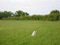 e0369112_19053856.jpg