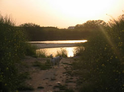 e0369112_19054635.jpg