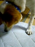 e0369112_19060728.jpg