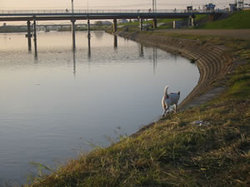 e0369112_19060942.jpg
