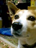 e0369112_19062232.jpg