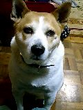 e0369112_19062778.jpg