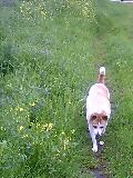 e0369112_19062934.jpg