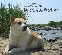 e0369112_19063411.jpg