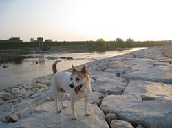 e0369112_19070016.jpg