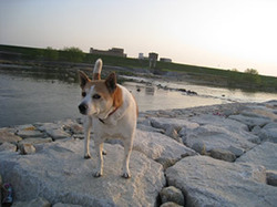 e0369112_19070092.jpg