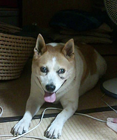 e0369112_19075280.jpg