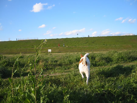 e0369112_19081549.jpg