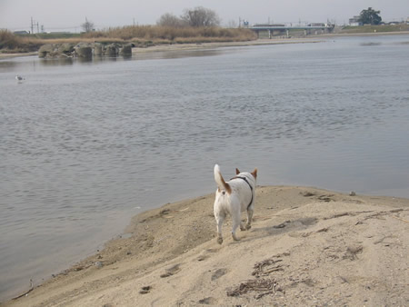 e0369112_19081618.jpg