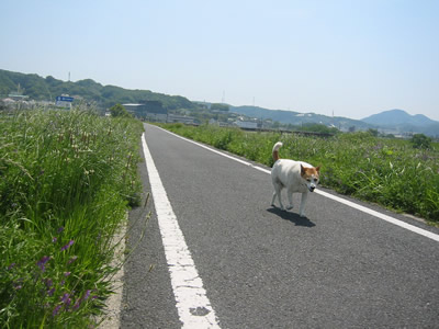 e0369112_19084287.jpg