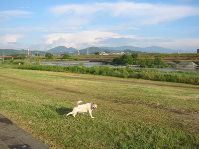 e0369112_19085198.jpg