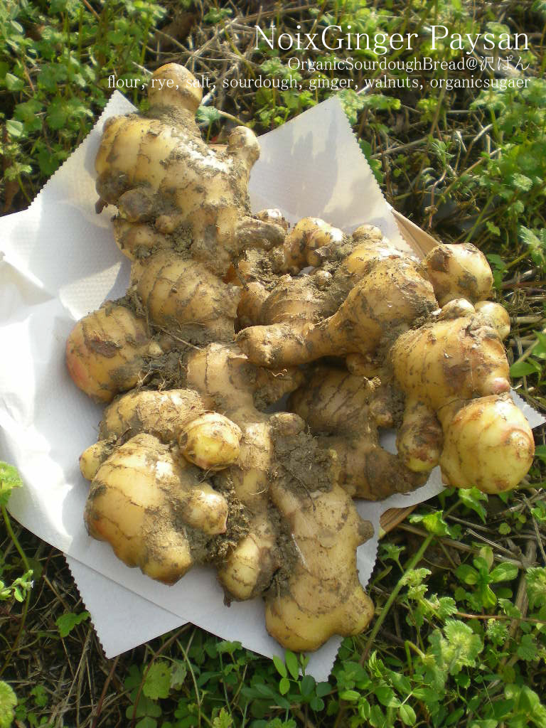 f0070713_16345893.jpg