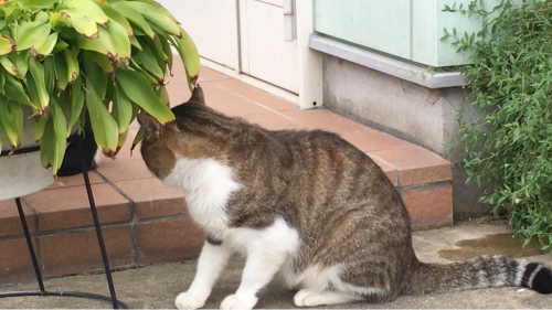 大寒_d0184114_07311688.jpg